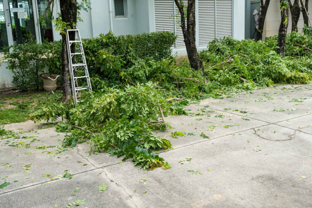 Best Grass Overseeding  in Oriole Beach, FL