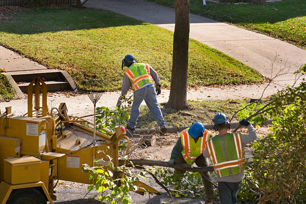 Lawn Irrigation Installation and Maintenance in Oriole Beach, FL